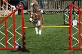 AGILITY - SAUT 046